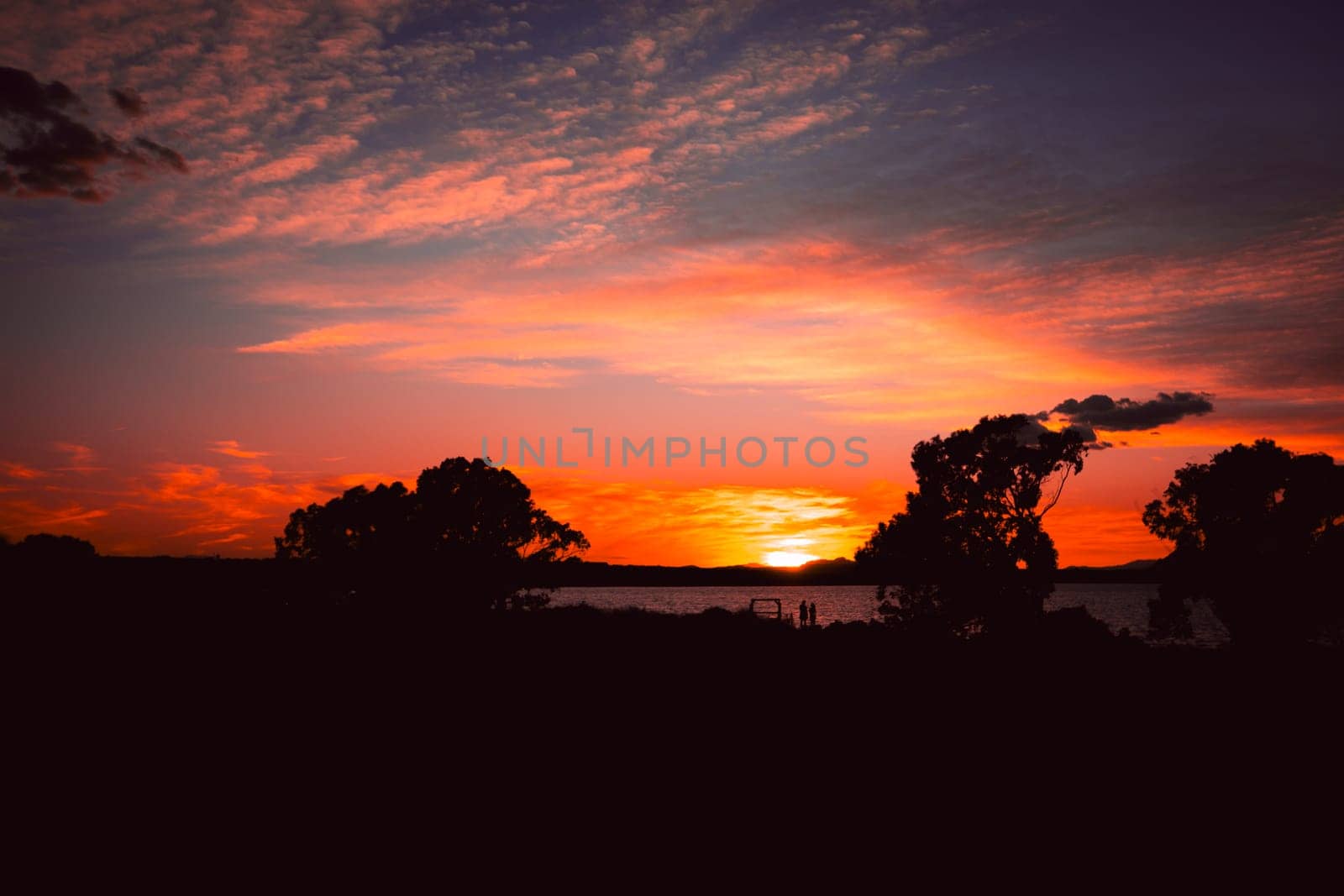 Photo of a beautiful sunset against the backdrop of trees and a lake. There is a place for an inscription. Beautiful photo of nature at sunset. High quality photo