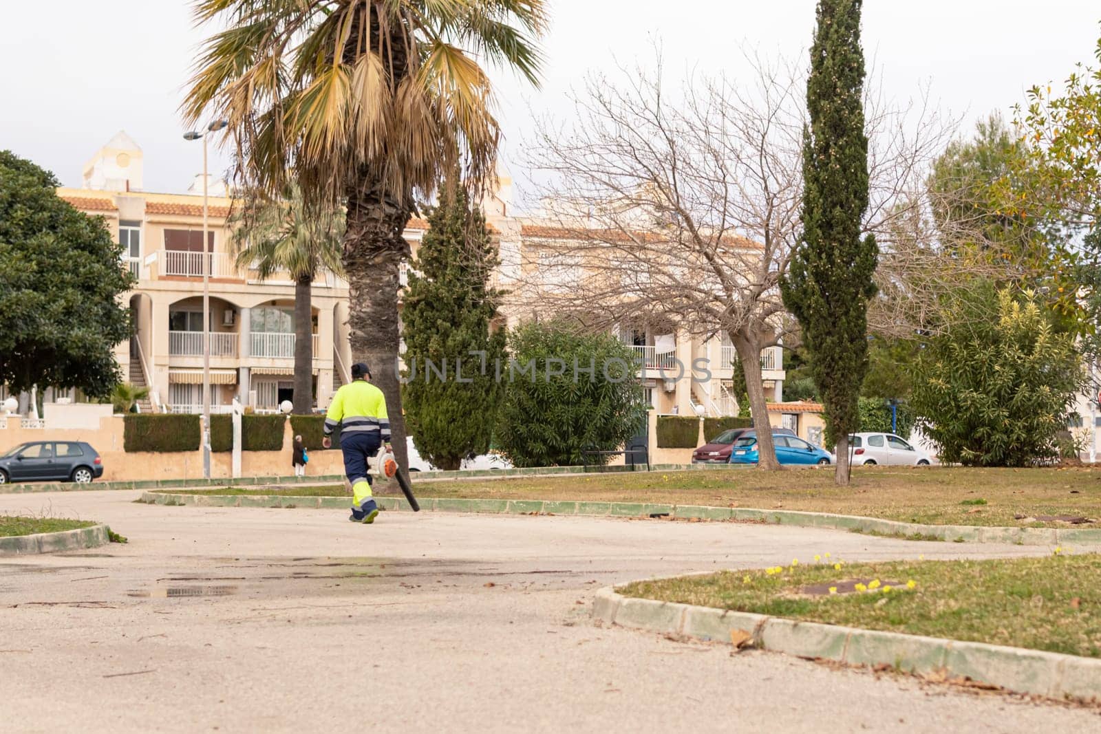 a park with palm trees close-up, a worker walks in the park cleans the streets, the concept of work. High quality photo