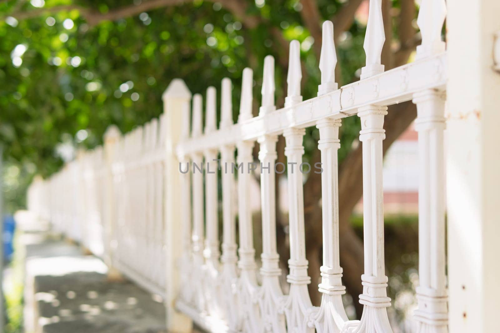 metal white fence in the park on the street, protects trees from dogs and animals. High quality photo