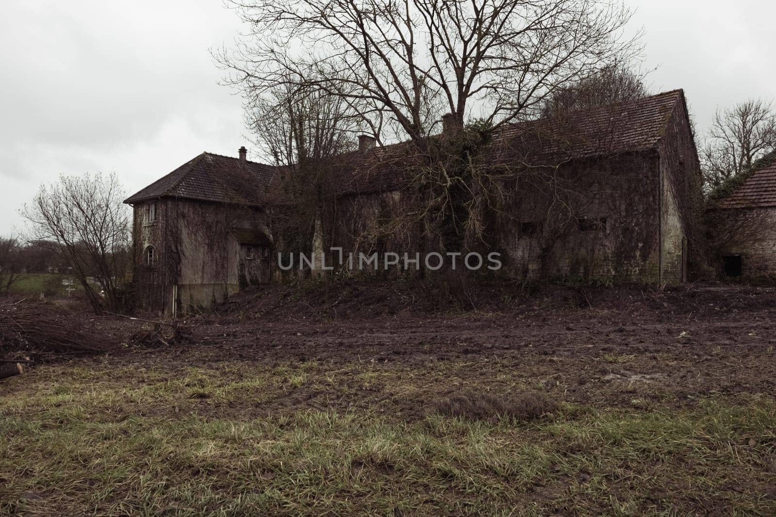 An old abandoned house stands in the grass all over, home insurance by PopOff