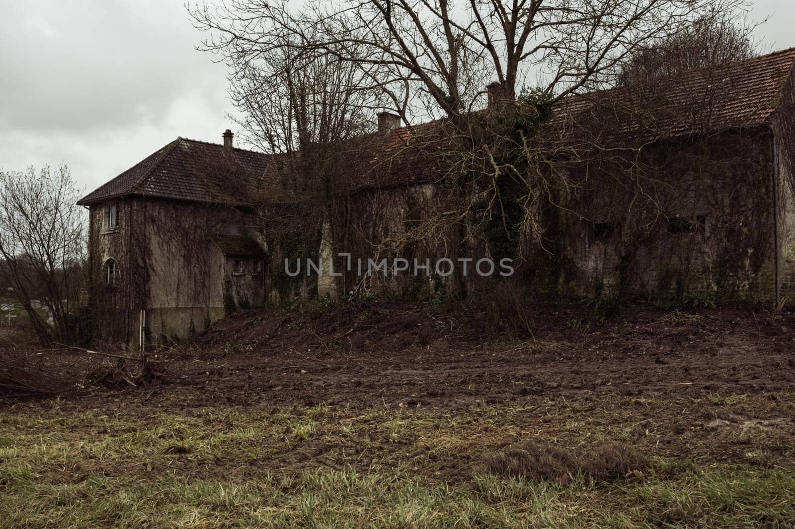 An old abandoned house stands in the grass all over, home insurance by PopOff