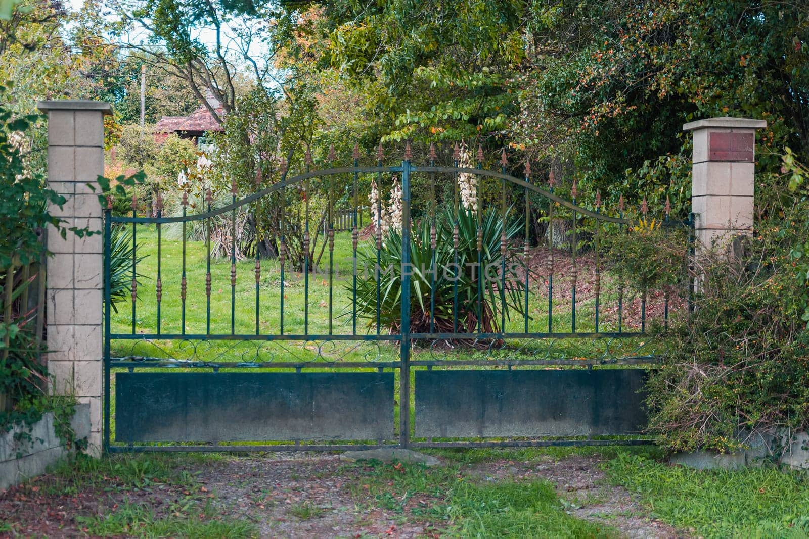 antique old metal gate close-up, green grass around, there is a place for an inscription by PopOff