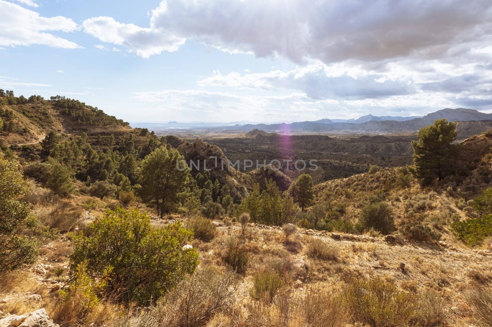 a stone wall with a yellow stone on a mountain grows green grass, a landscape with a place for an inscription. High quality photo