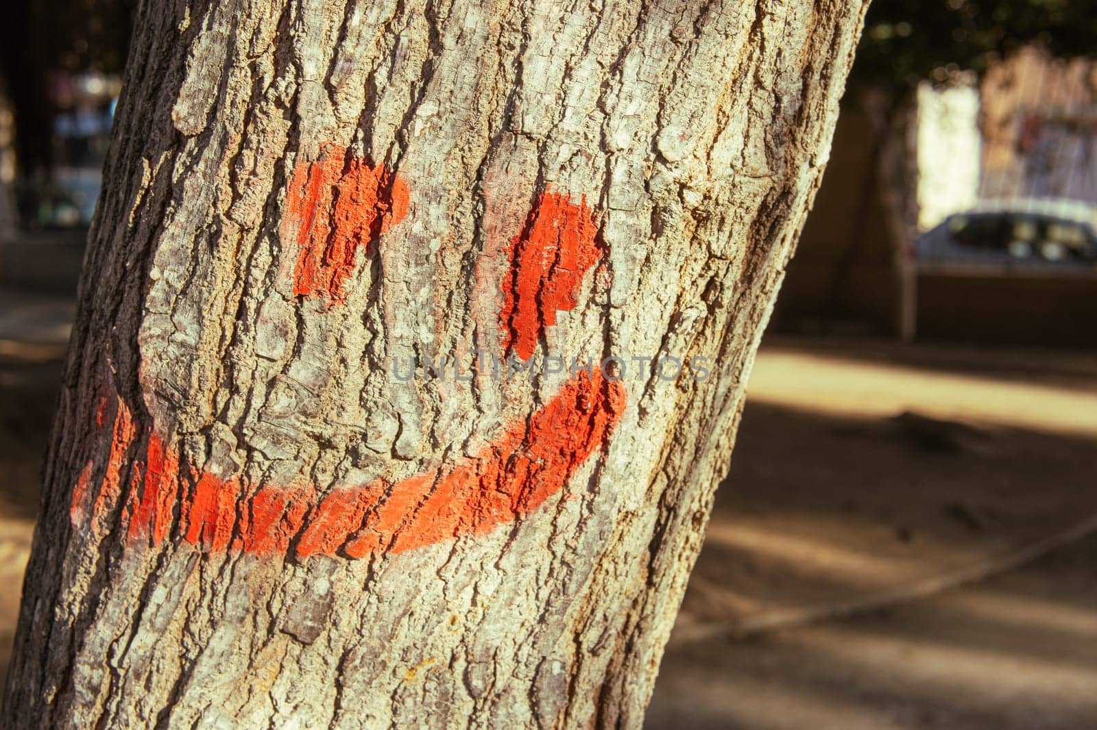 tree close-up, painted smiley face on the tree with red paint, close-up smiling smiley face on the tree by PopOff