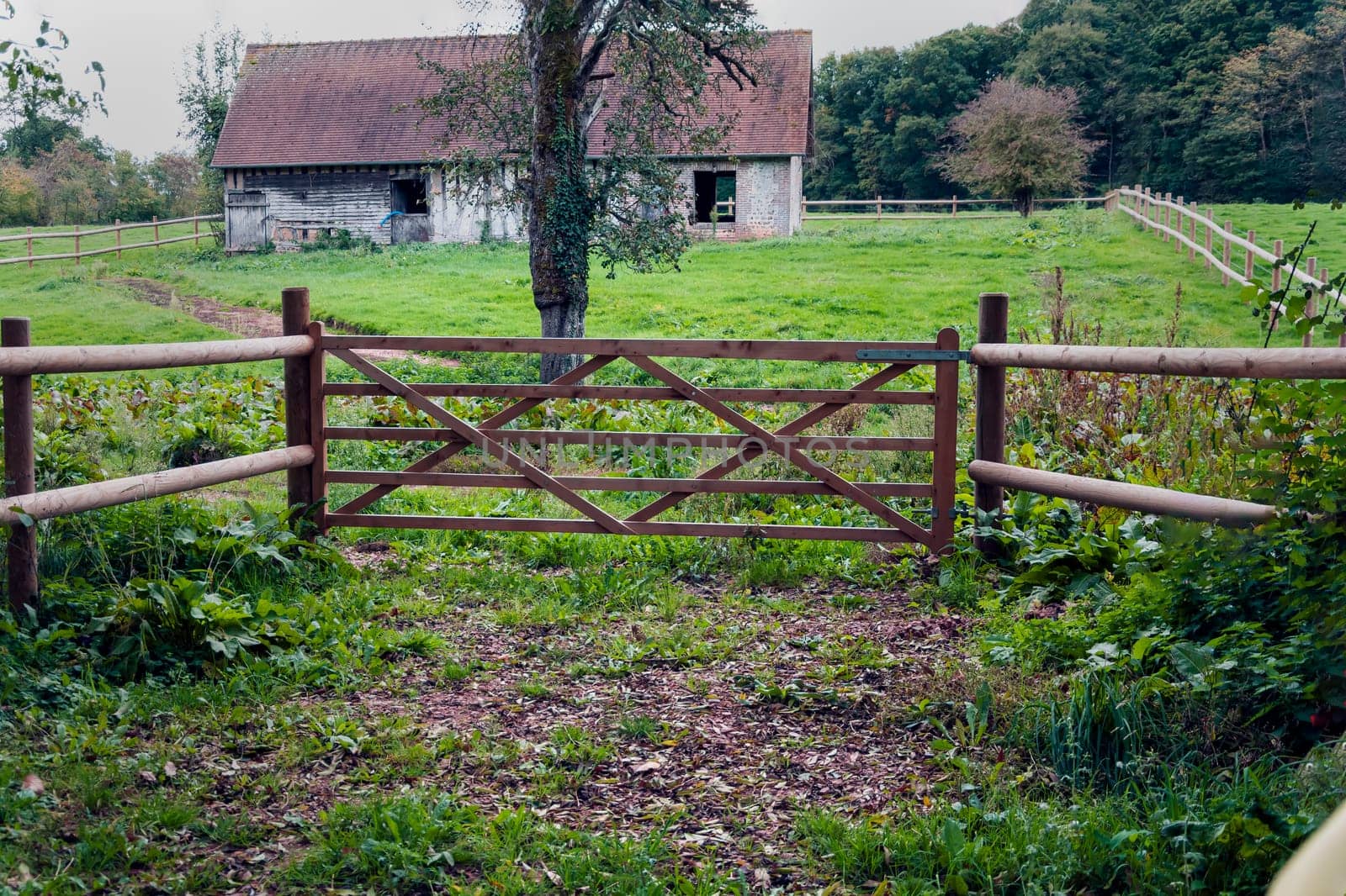 close-up of a wooden fence in agriculture for animals, a fence with a tree for cows and horses by PopOff