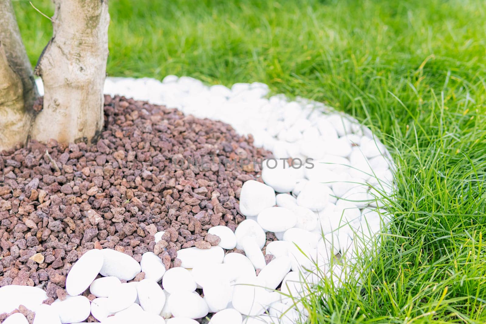 beautiful fence with stones of the tree ideas for design in the garden by PopOff