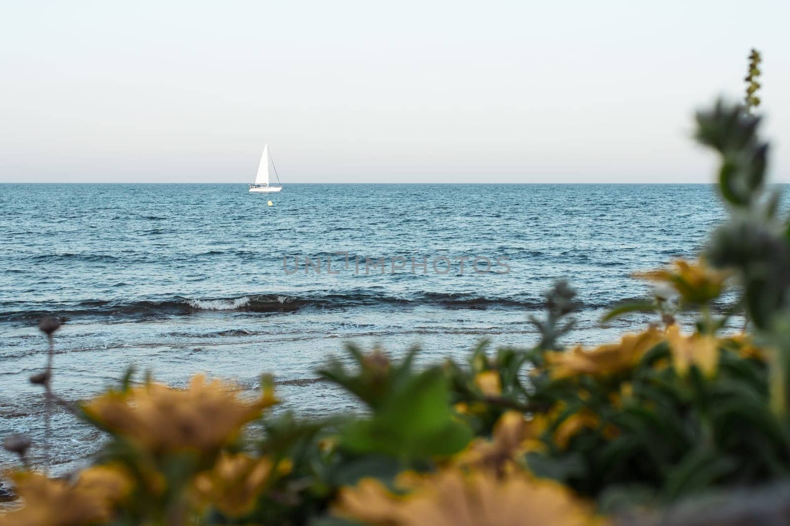 beautiful seascape a white sailboat is sailing in the sea, there is a place for an inscription. High quality photo