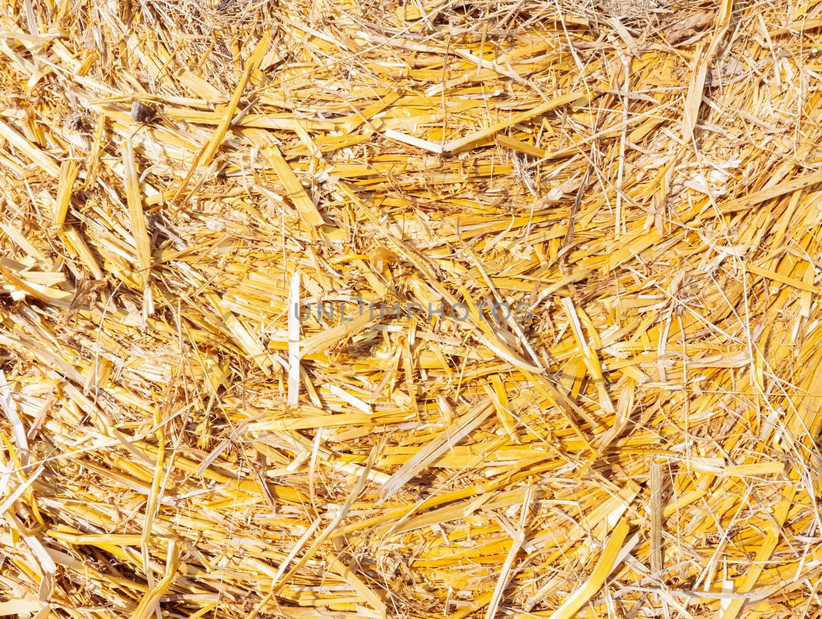 background for the inscription straw close-up.background agricultural and yellow. by PopOff