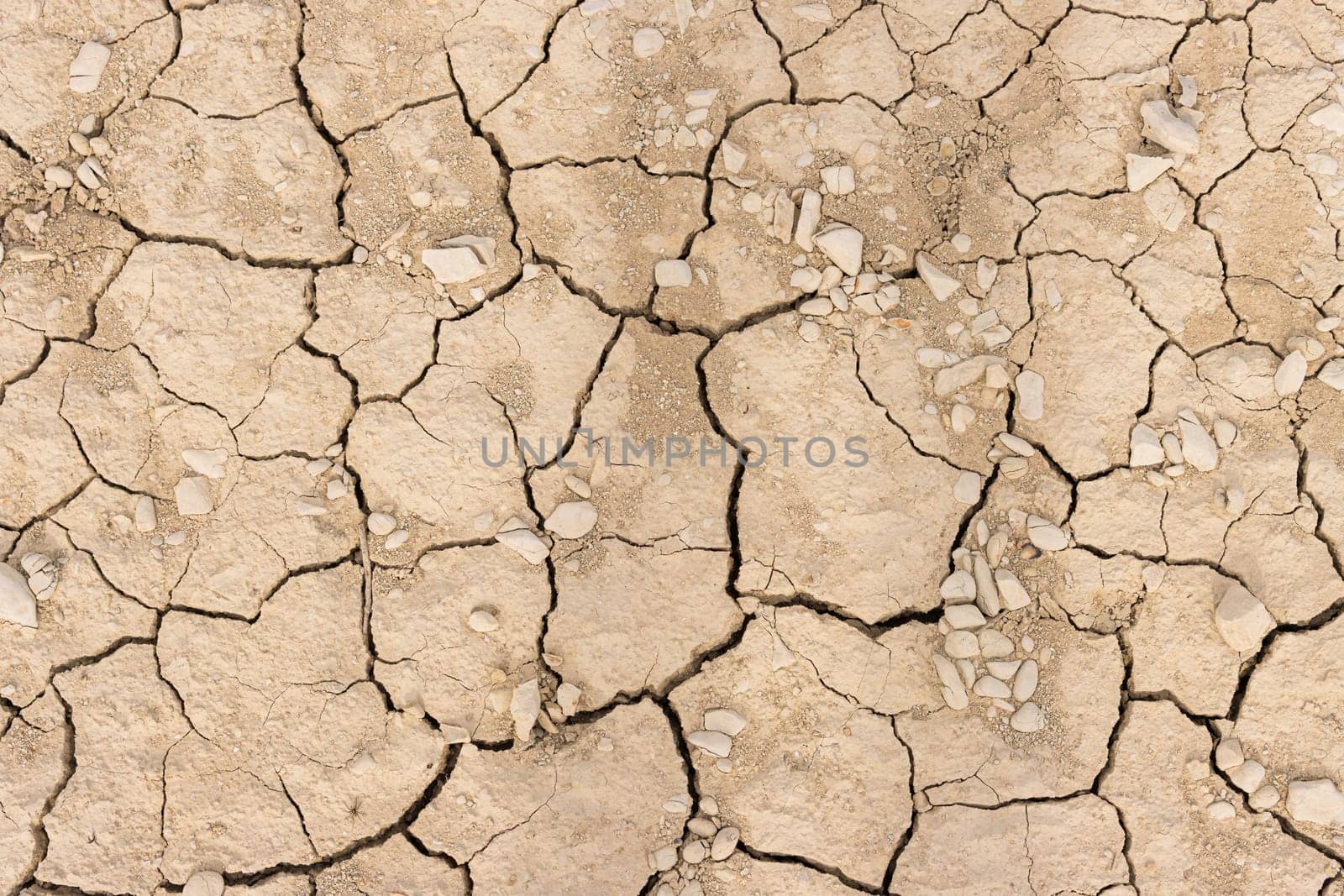 texture dry earth closeup Old asphalt as background,dry ground without water cracked background. High quality photo