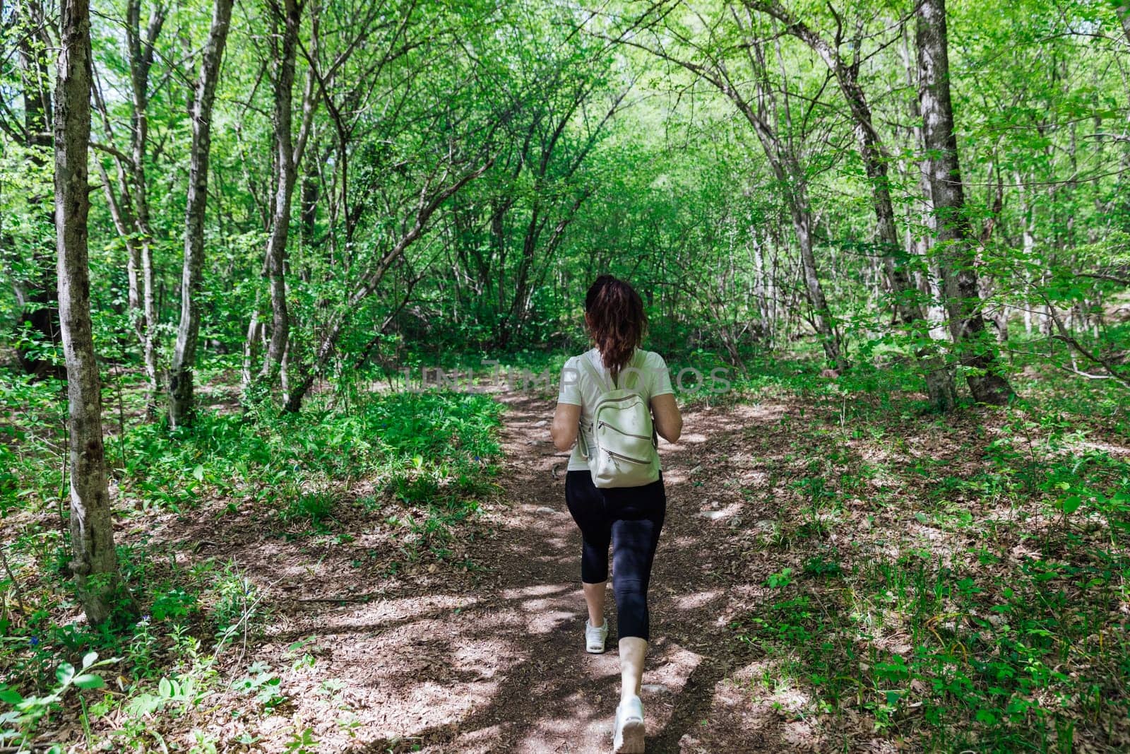 woman with a backpack walks through the forest among the green trees hiking journey