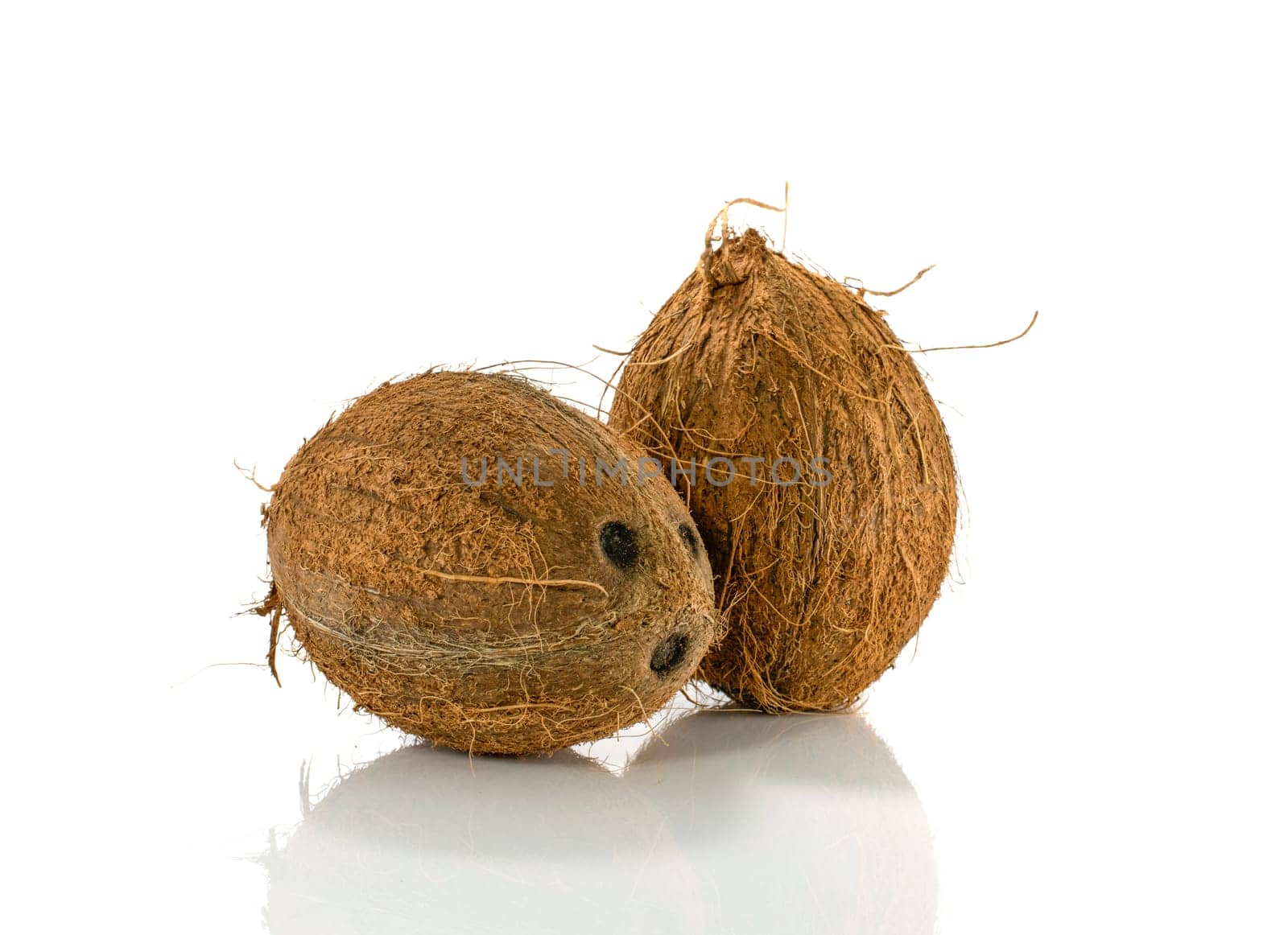 two raw coconut on isolated white background by compuinfoto