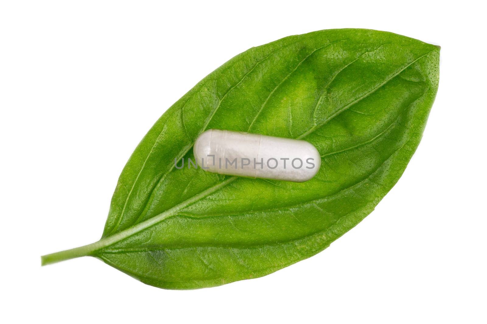 Close up vstevia leaves and pills used as a natural sweetener. Stevia rebaudiana.