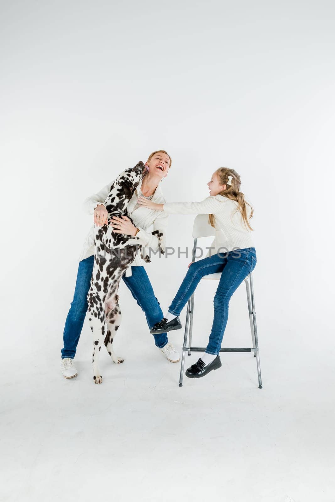 woman and toddler girl play with dog puppy dalmatian.pet and child ,generation therapy ,canisterapie,emotion, mental health. people hugging and kissing a dog, playing with puppy on a white background by YuliaYaspe1979
