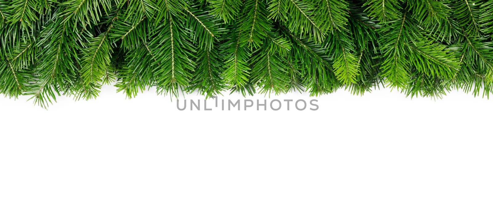 Natural fir Christmas tree border frame isolated on white , copy space for text