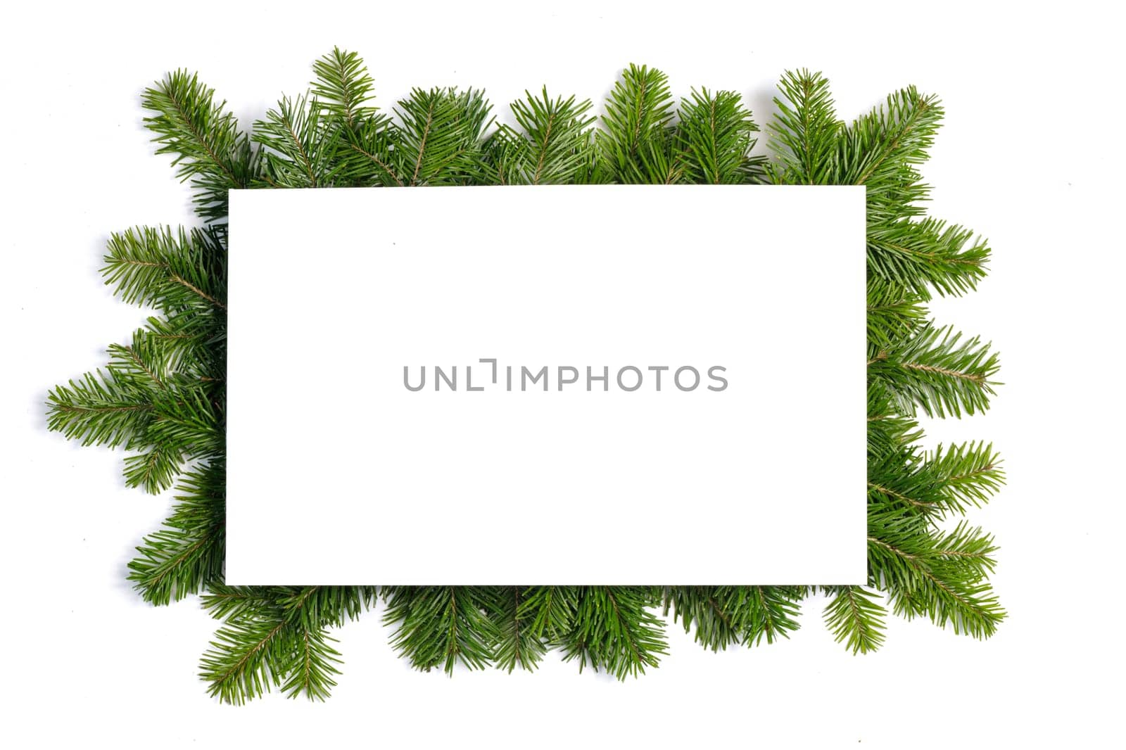 Christmas border arranged with fresh fir branches isolated on white background , copy space for text
