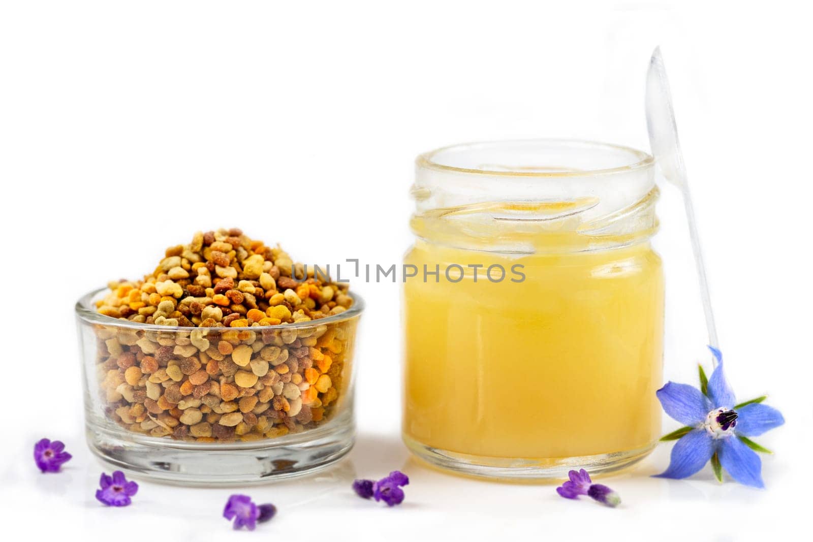 A variety of bee products. Honey, pollen, propolis, Apitherapy. Healthy products made by bees.