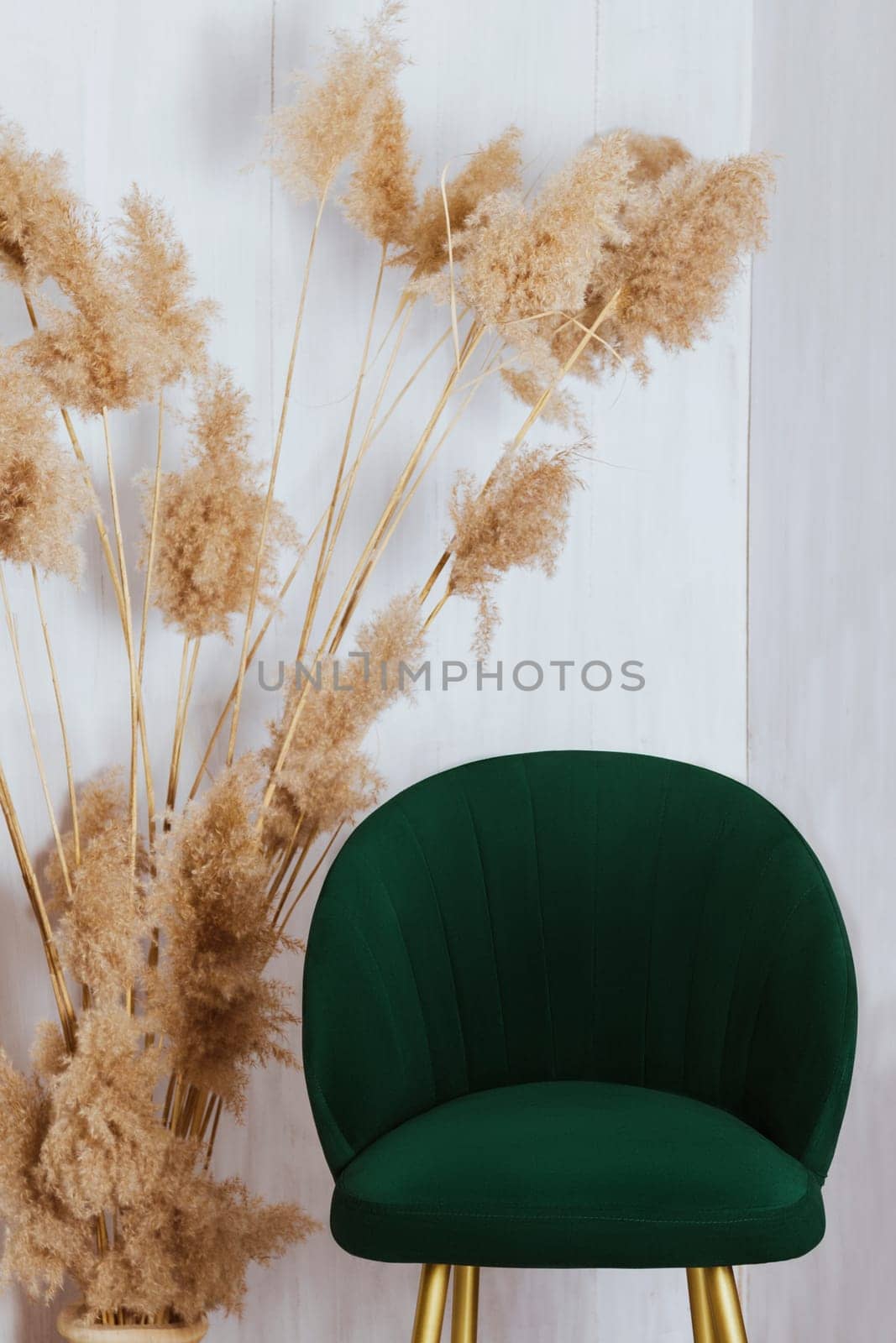 The decor of the room is a green bar stool and shaggy branches of reeds on a white wall background