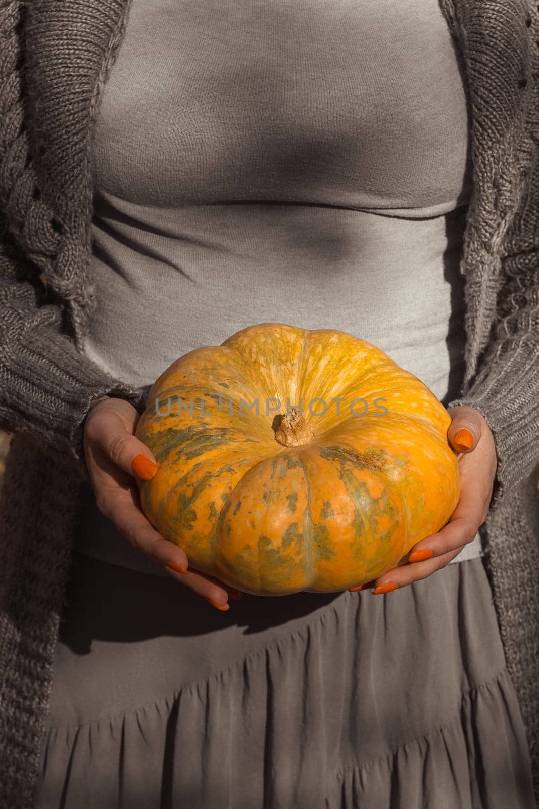 Ripe orange round pumpkin in women's hands