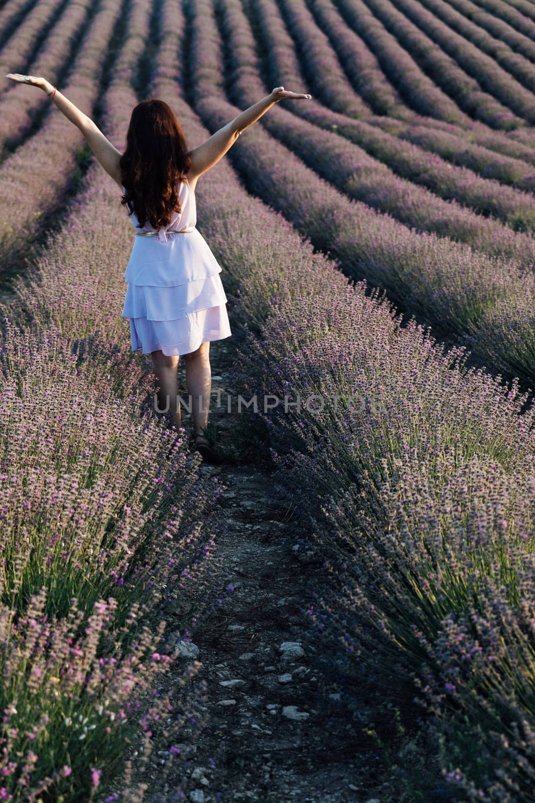 purple flowers walk journey beautiful woman brunette raised her hands up in lavender