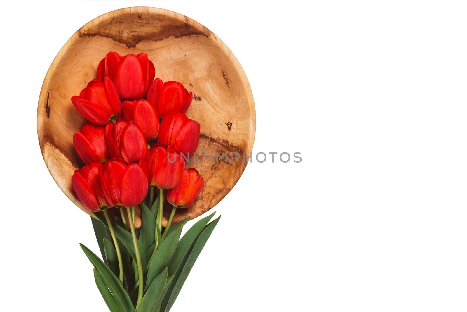 Red tulips with leaves lie on a wooden plate on a white background, horizontal with copy space