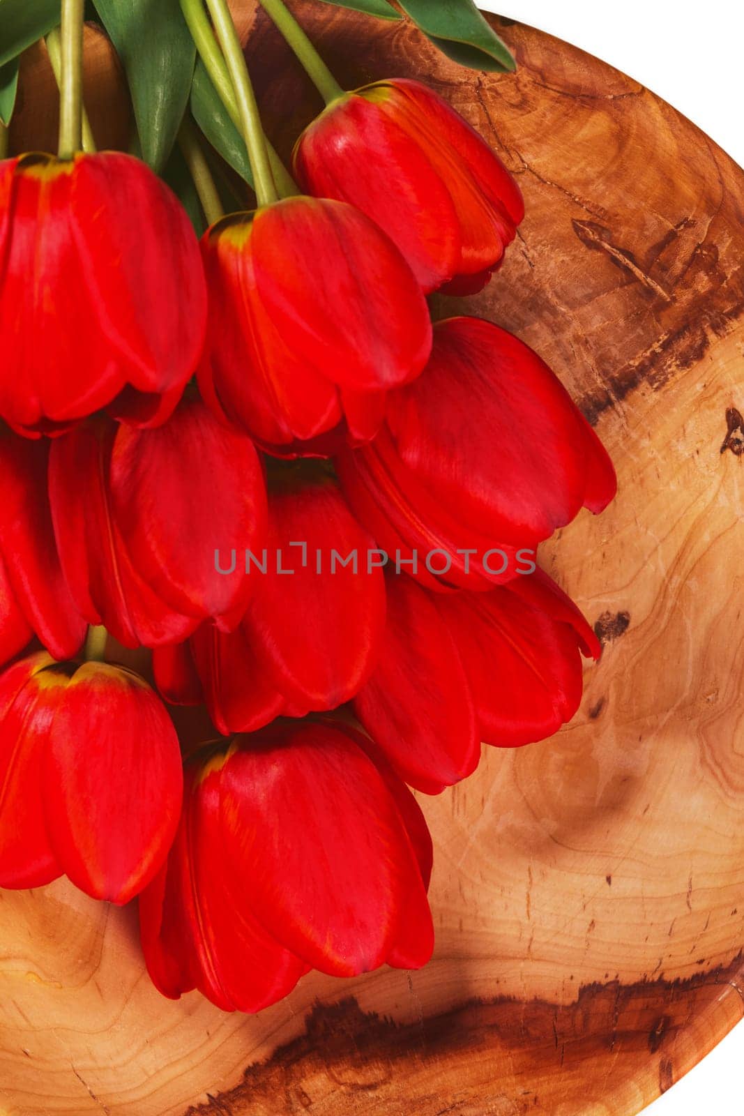 Red tulips lie on a wooden plate on a white background, close-up