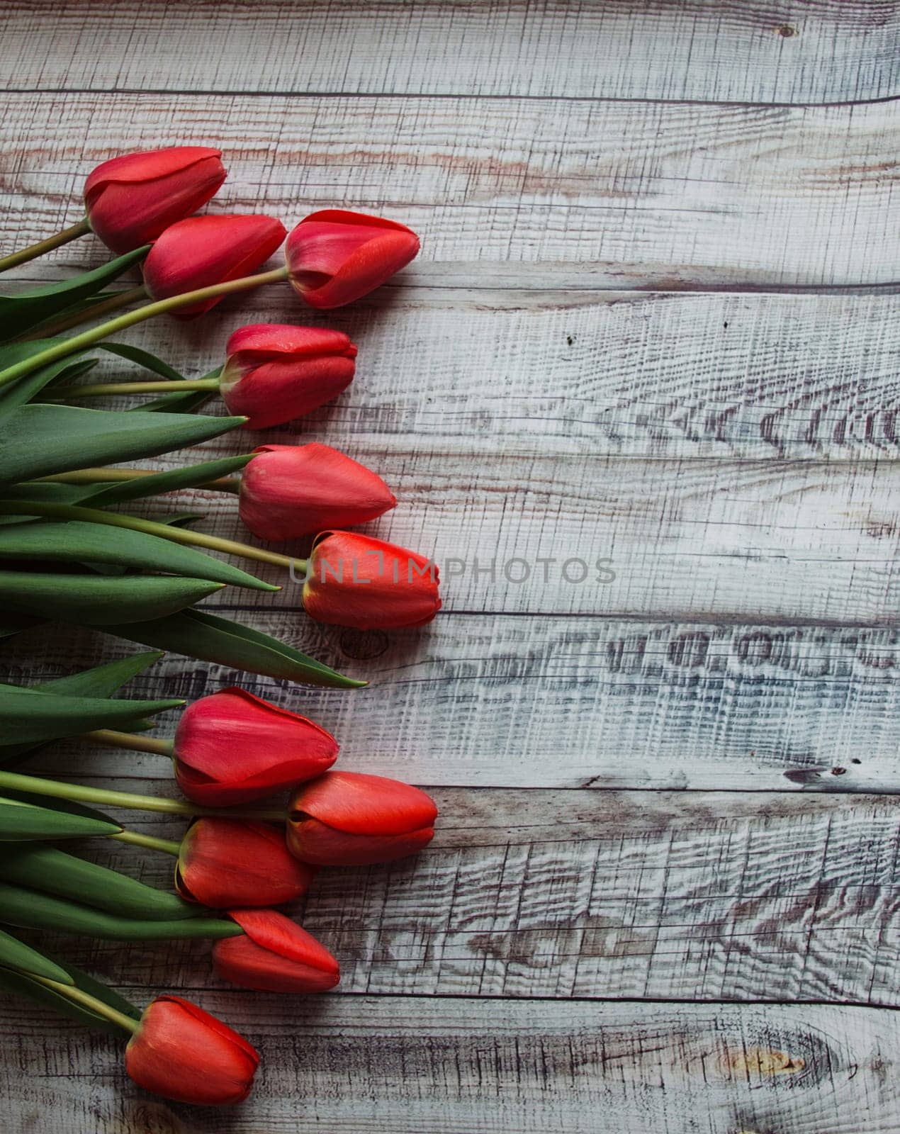 Red tulips with leaves lie on a wooden background