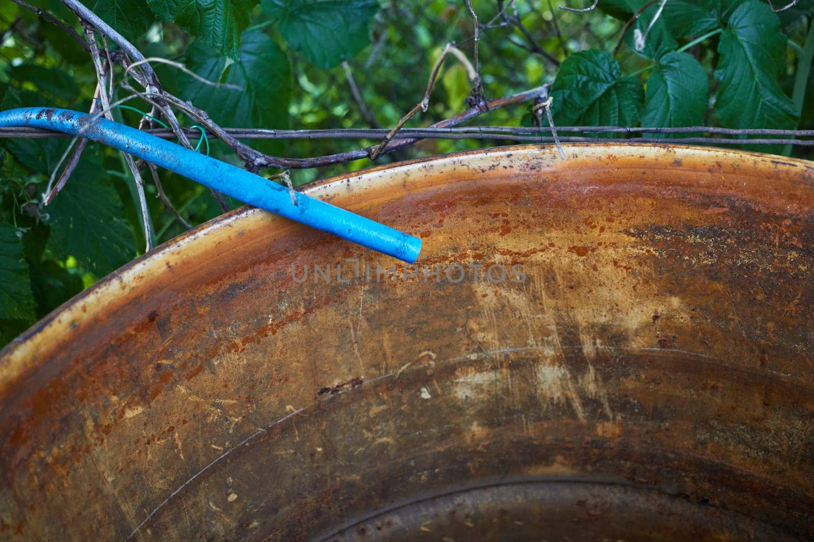 Photo of a blue irrigation hose and an old rainwater barrel. Garden and vegetable garden. Watering plants.