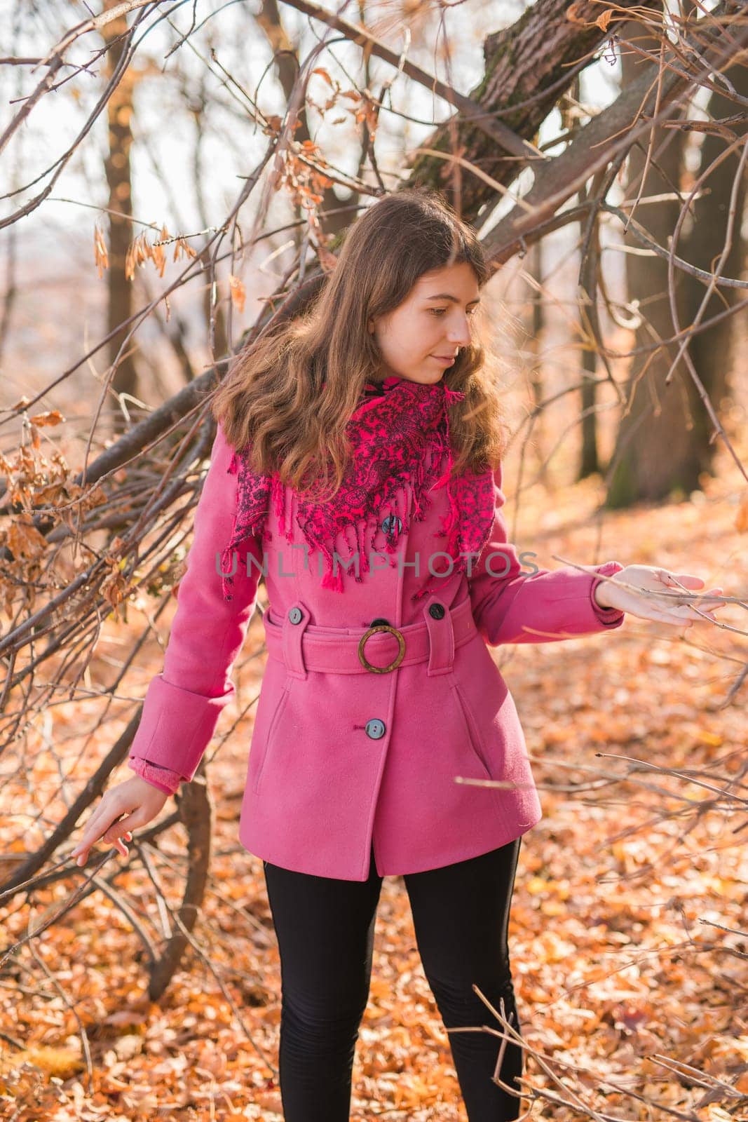 Cheerful young woman with pink scarf relaxing at park with yellow trees in background. Smiling beautiful girl enjoying warm sunny weather in autumn season. Happy pretty natural woman laughing in fall season. by Satura86