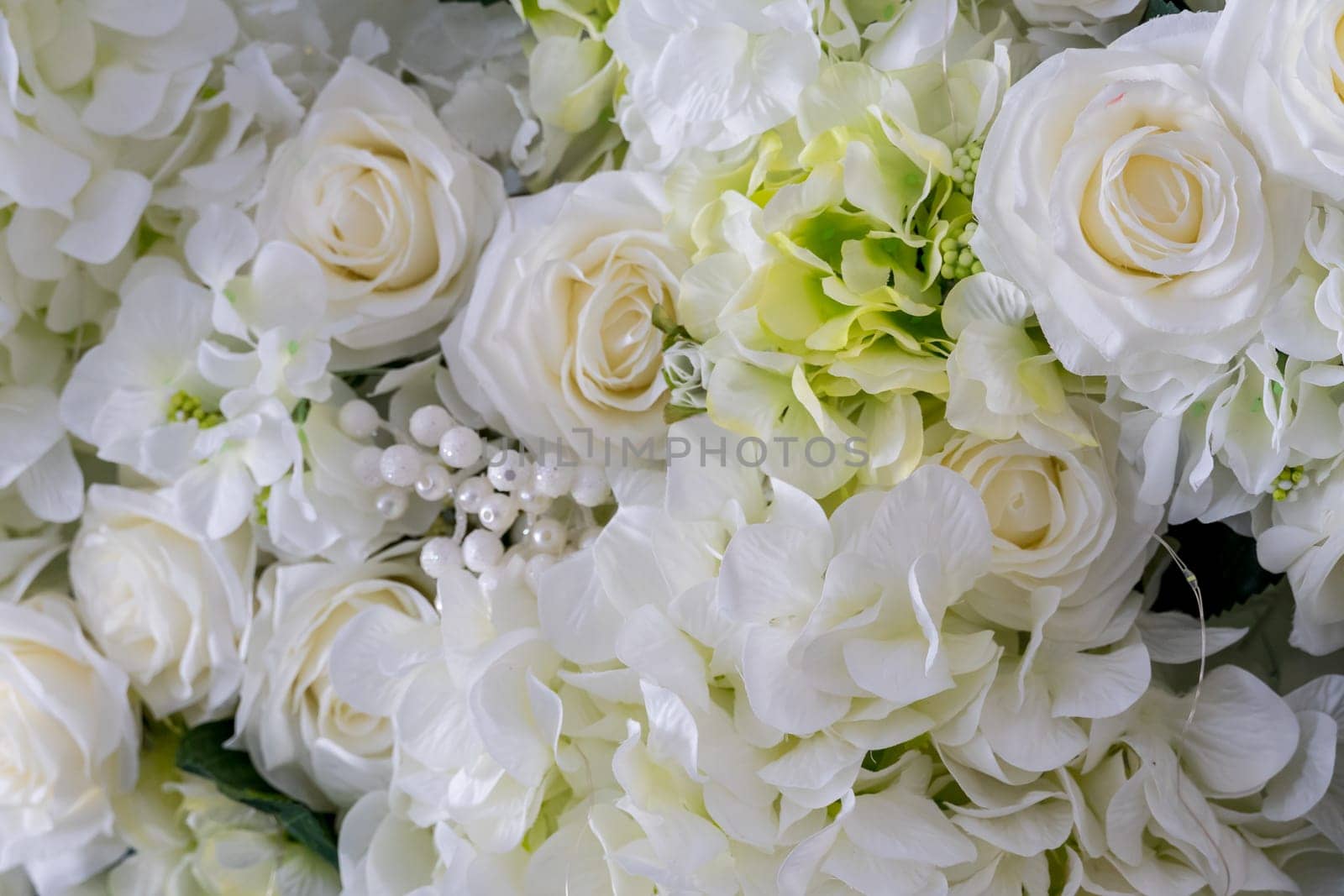 Gentle background of white roses by Serhii_Voroshchuk