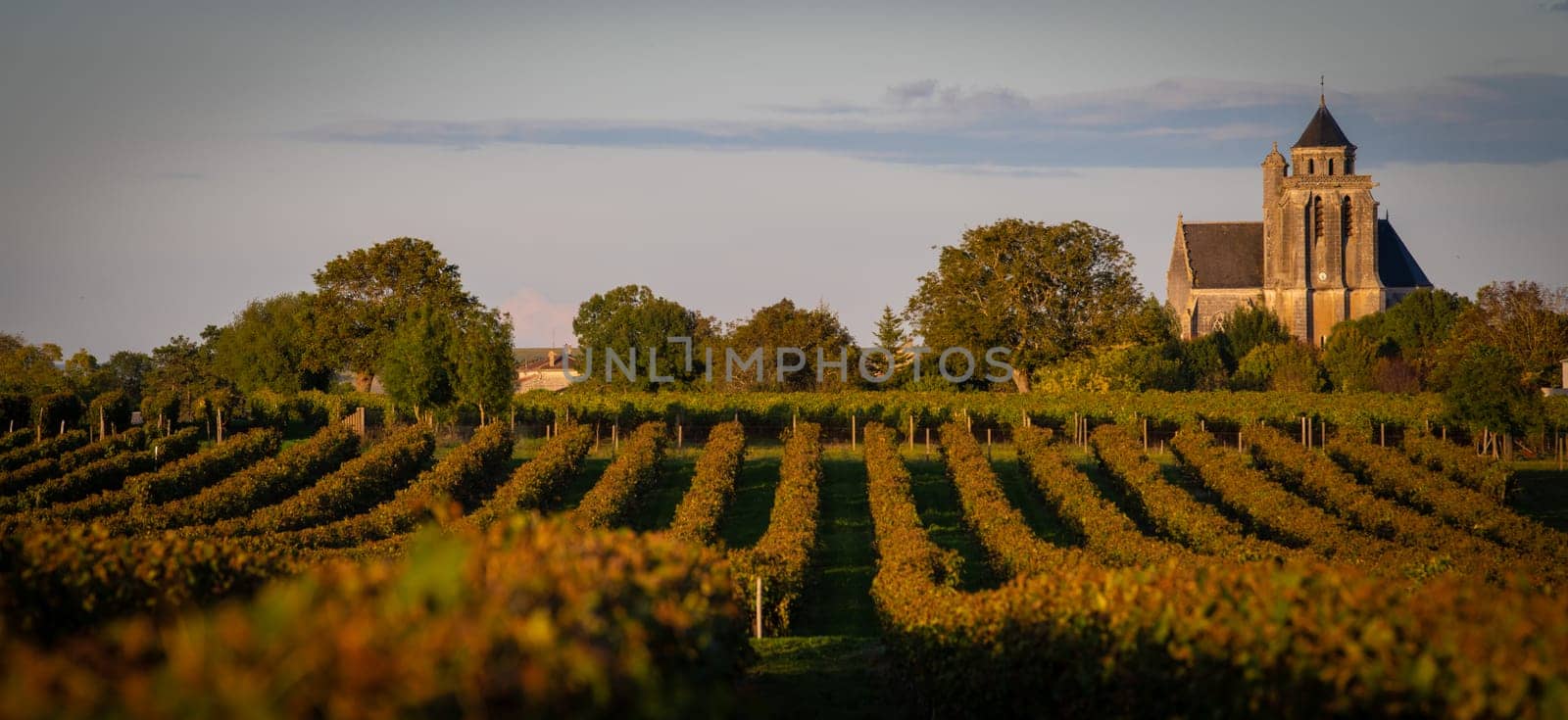 France, Charente-Martime, Lonzac Church,in Cognac Vineyards, Petite Champagne by FreeProd