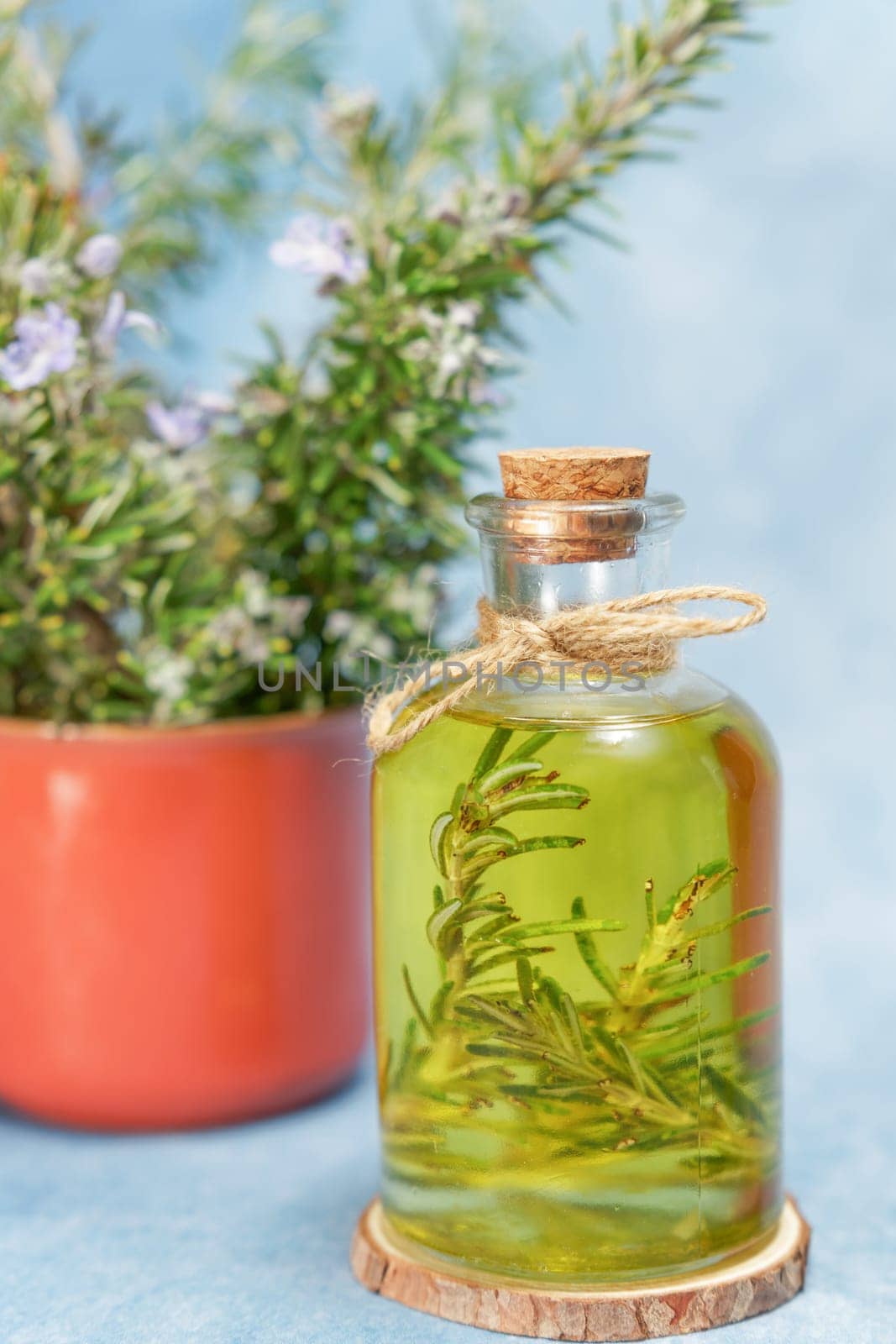 Glass bottle with rosemary essential oil by joseantona