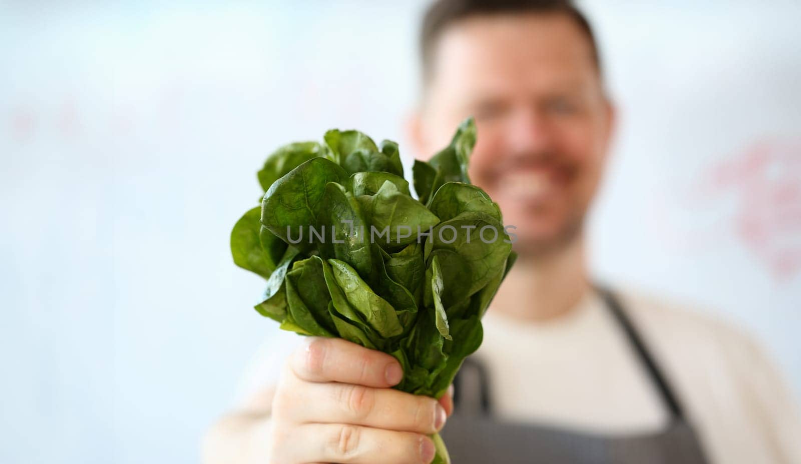 Male Hand Holding Green Aromatic Sorrel Bunch. Chef Showing Fresh Herb Bundle for Spicy Food. Herbal Ingredient with Leaf. Aroma Herb for Vegetarian Food. Greens for Organic Culinary Horizontal Photo