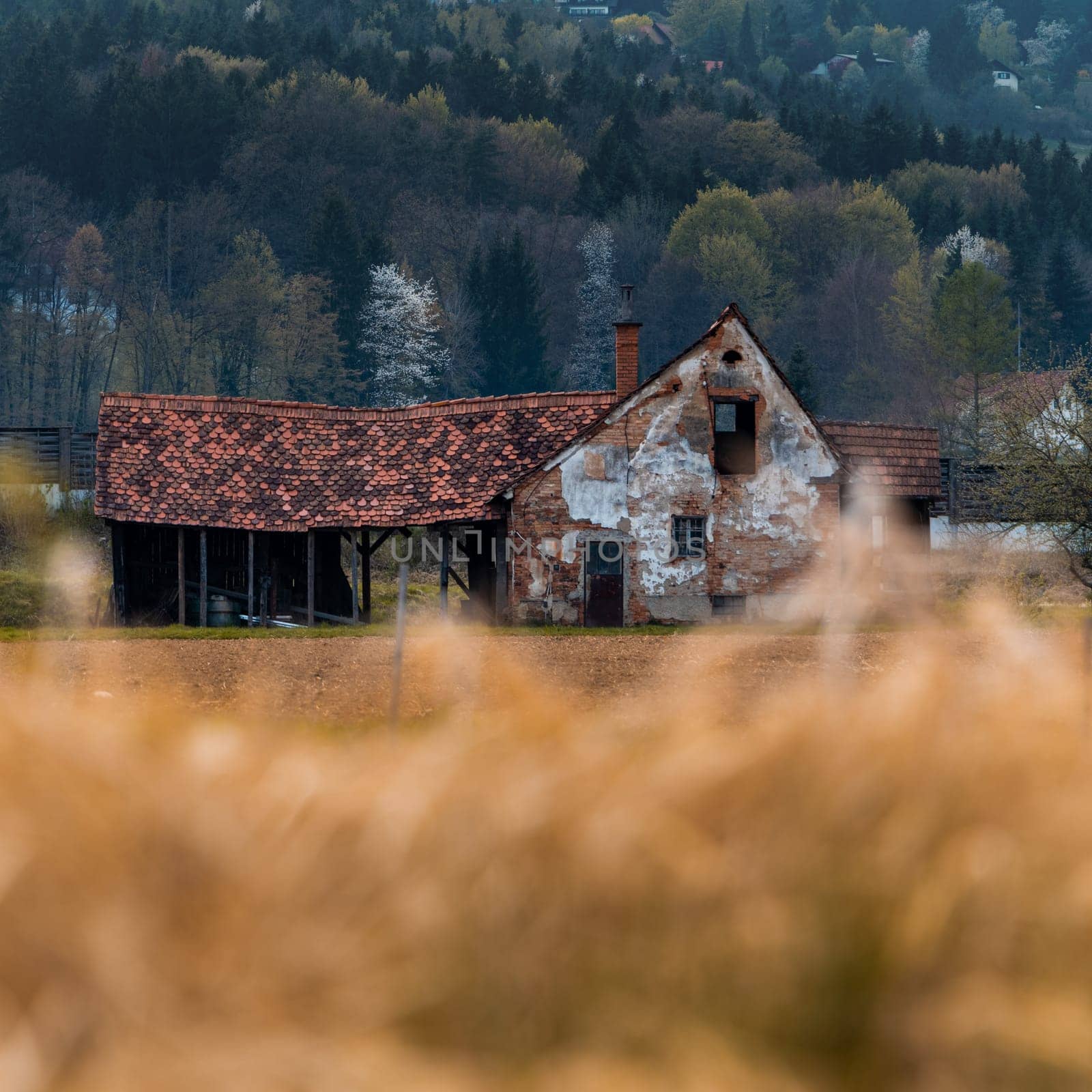Old abandoned austrian farm house shot with foreground bokeh by Plaul