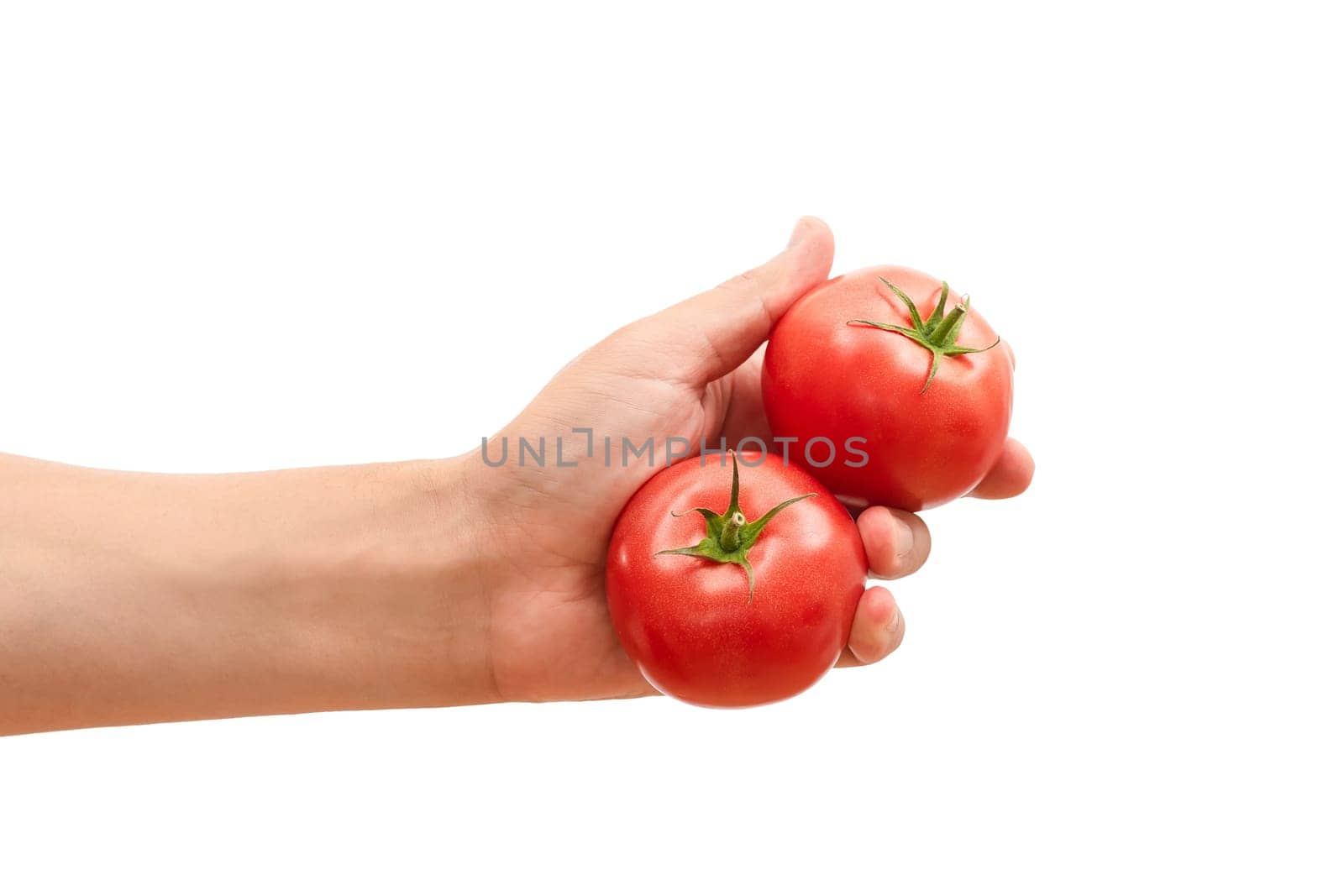 Mans hand holding red tomatoes in hand isolated on white background.