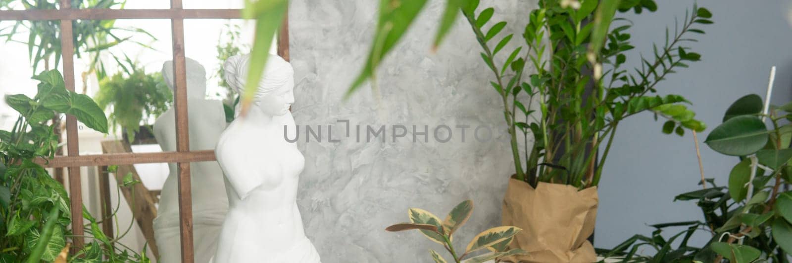 A fragment of the interior with a variety of indoor plants and plaster sculptures. Urban jungle concept. Biophilia design. by Annu1tochka