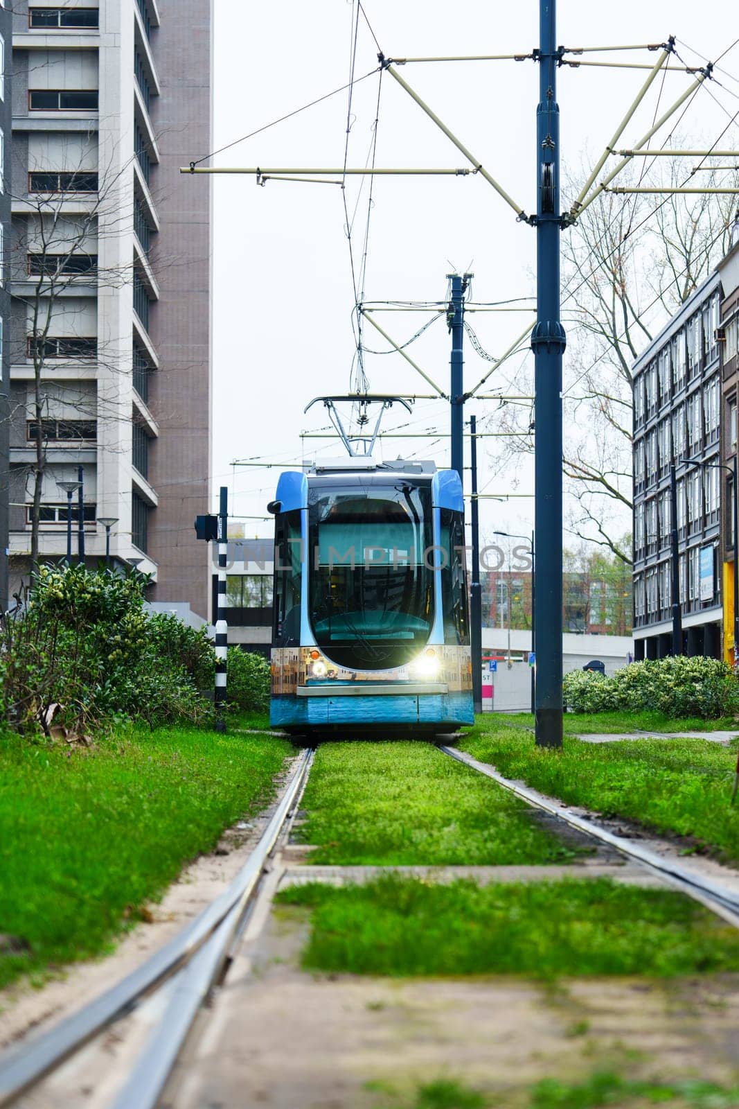 Exploring Rotterdam: Modern Cityscape with Electric Trams Public Transit by PhotoTime