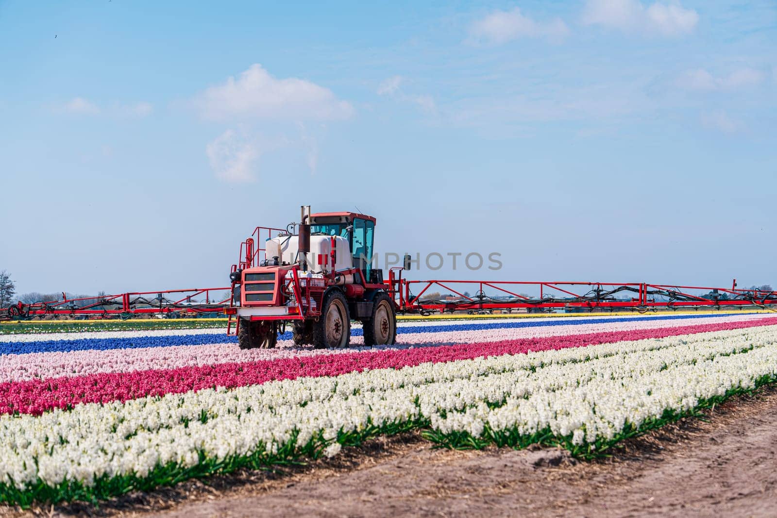 Netherlands Flower Cultivation: Tractor Spraying Fields of Flowers for Pest Management by PhotoTime