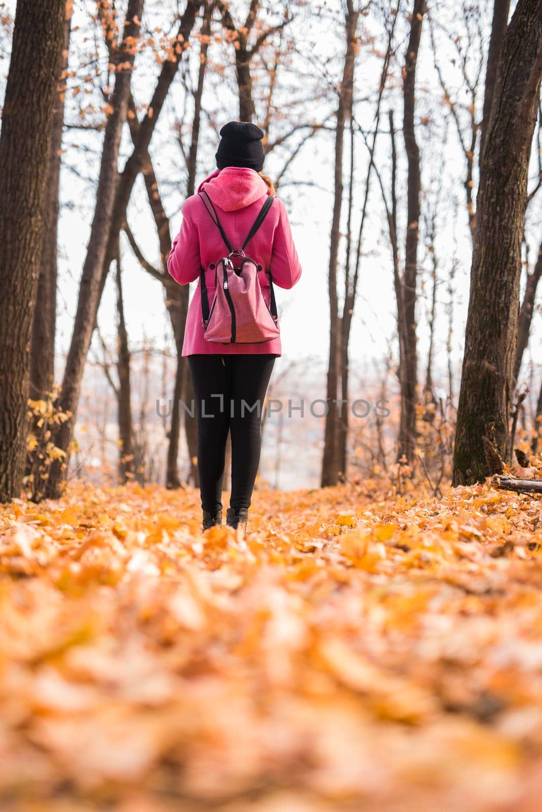 Back view of a girl walking on autumn park in fall season. Generation Z and gen z youth. Copy empty space for text. by Satura86
