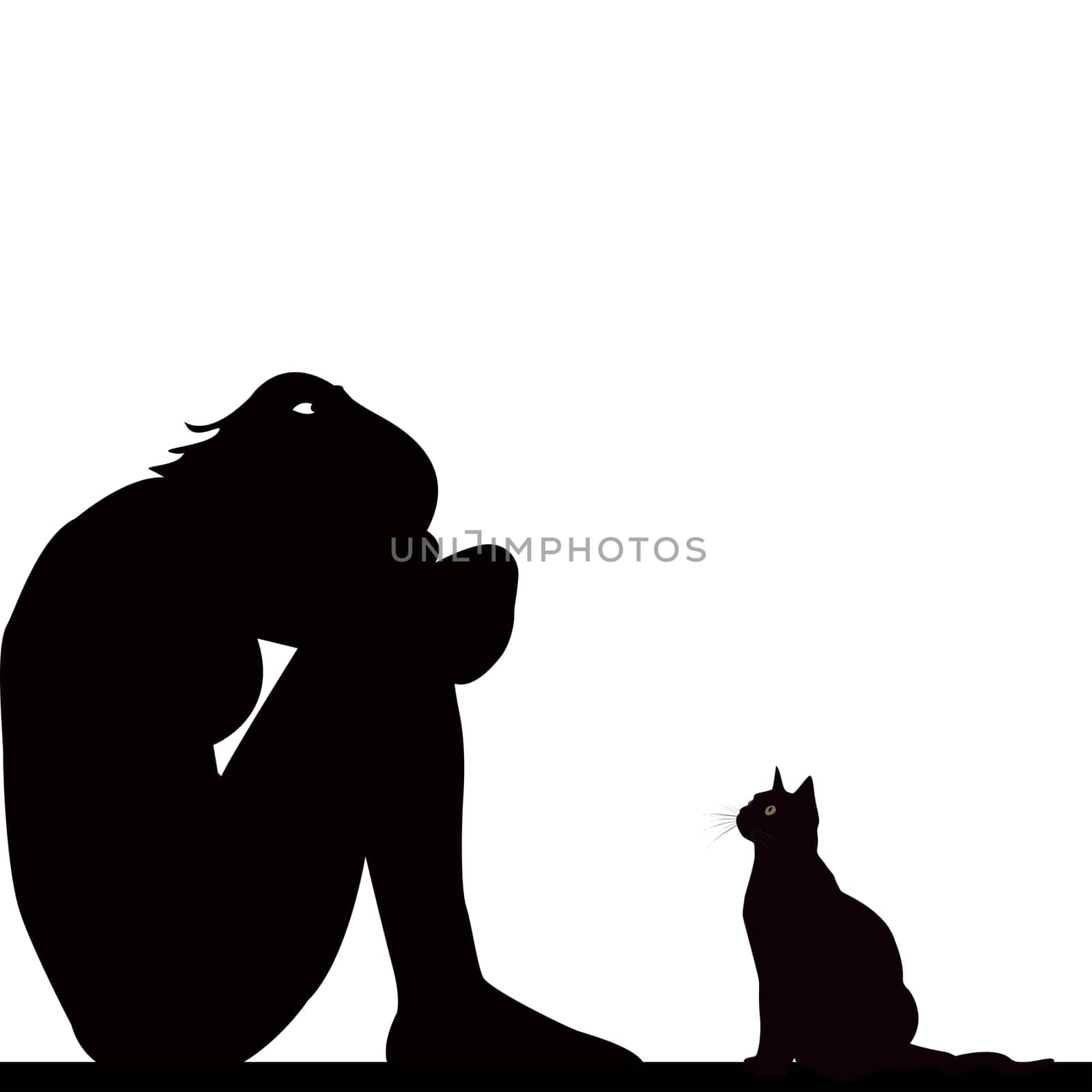 Sad woman silhouette with cat