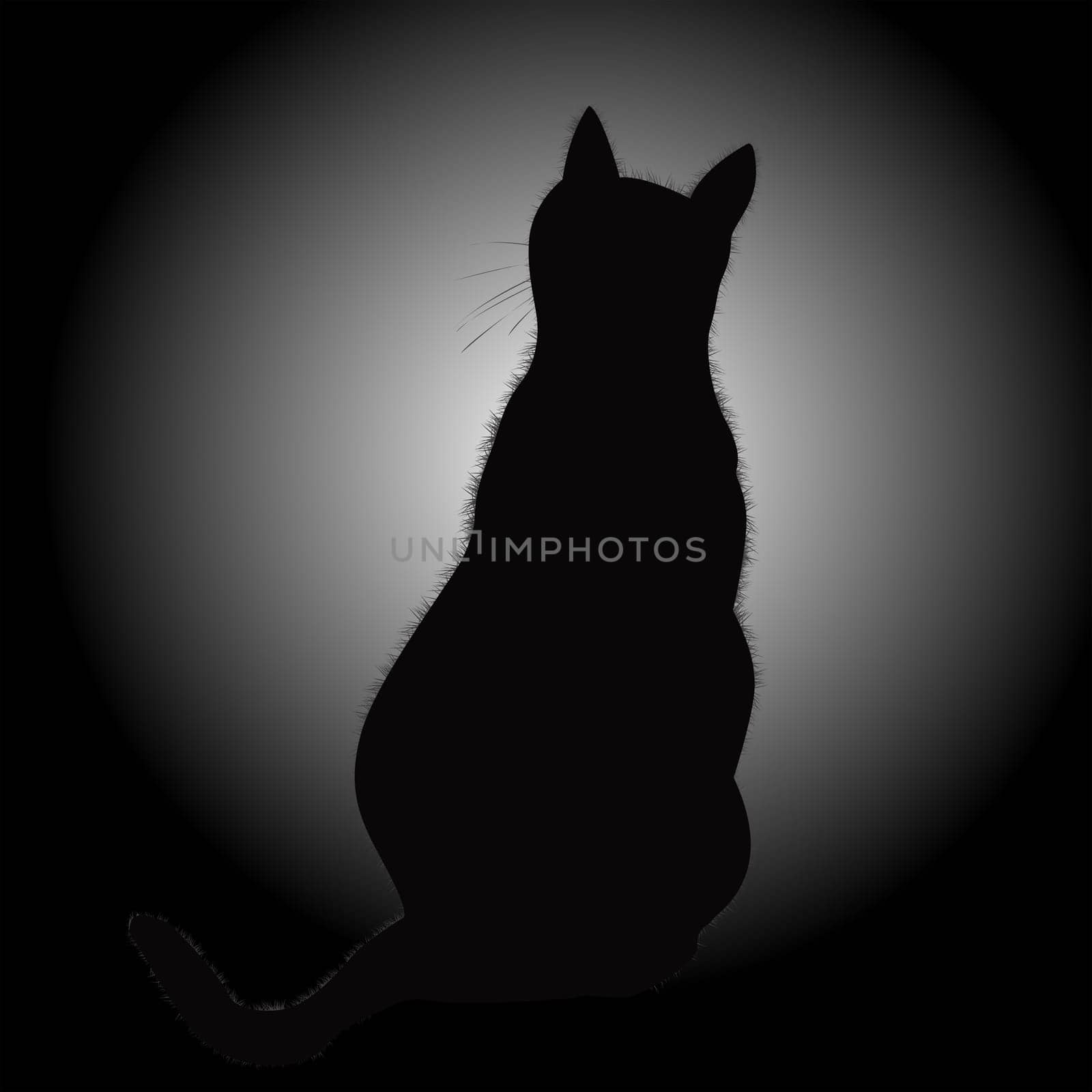 Black cat silhouette in contrast with backlight