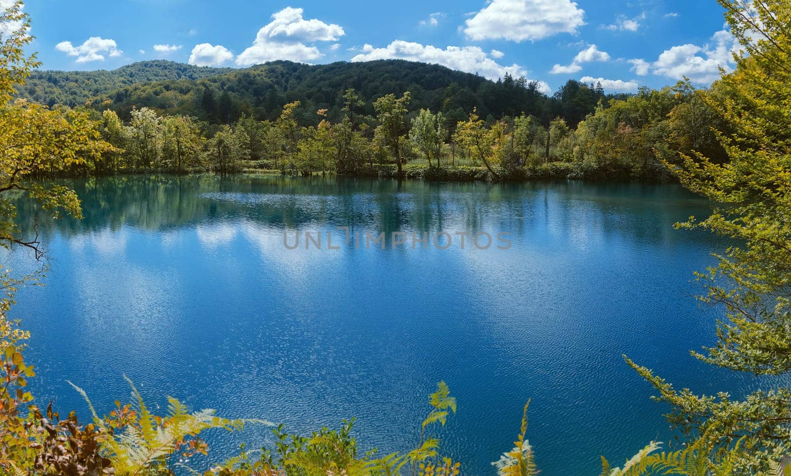 Lake in Plitvice National Park, Croatia