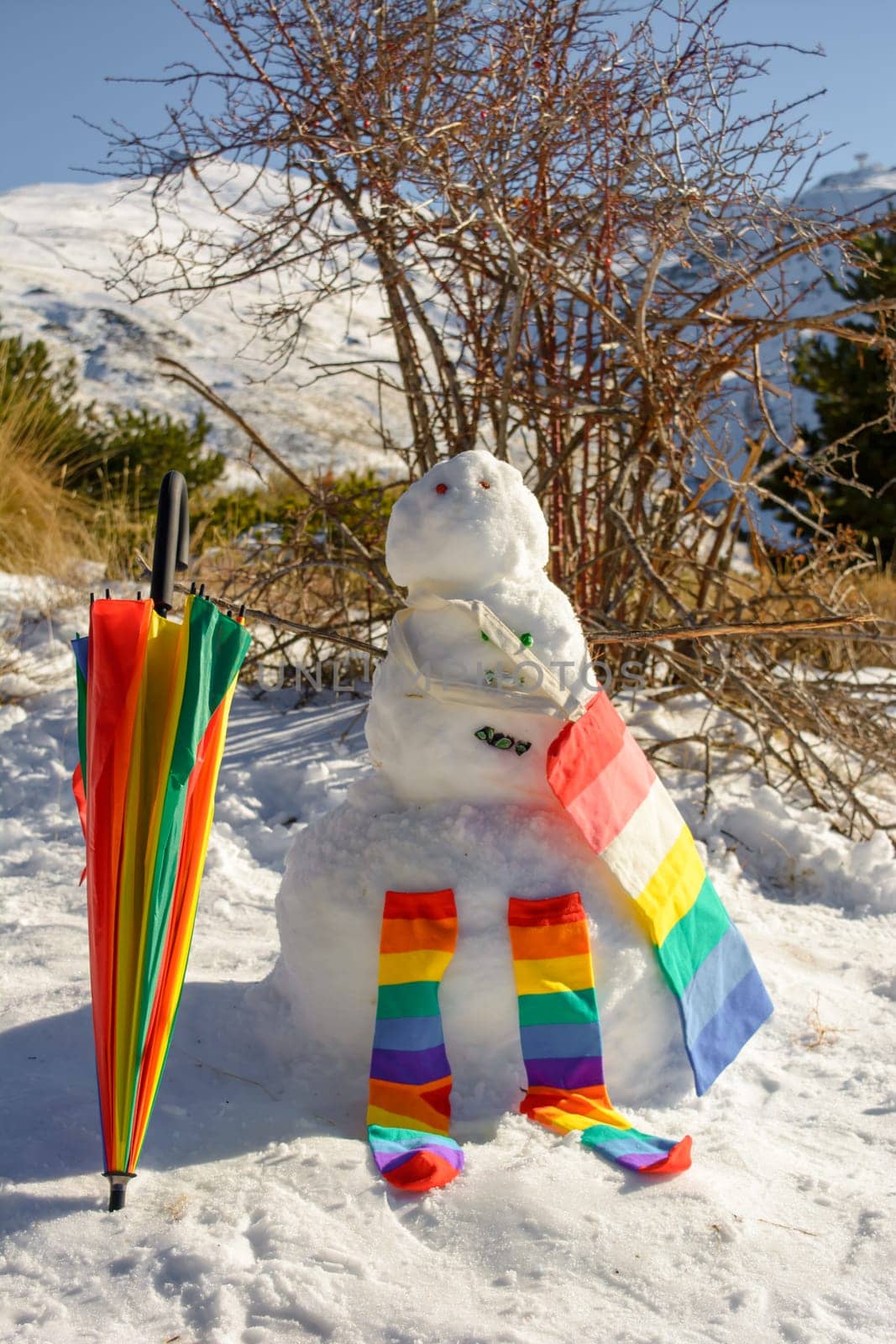 snowman, with vivid colors in the mountain of sierra nevada by carlosviv