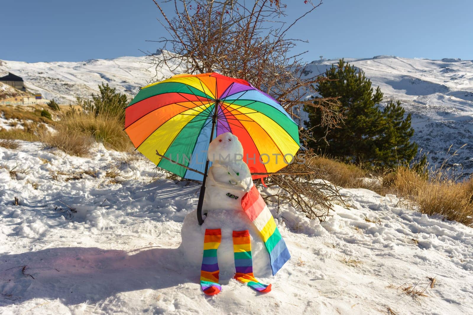 snowman, brightly colored in the mountains, lgtb community,