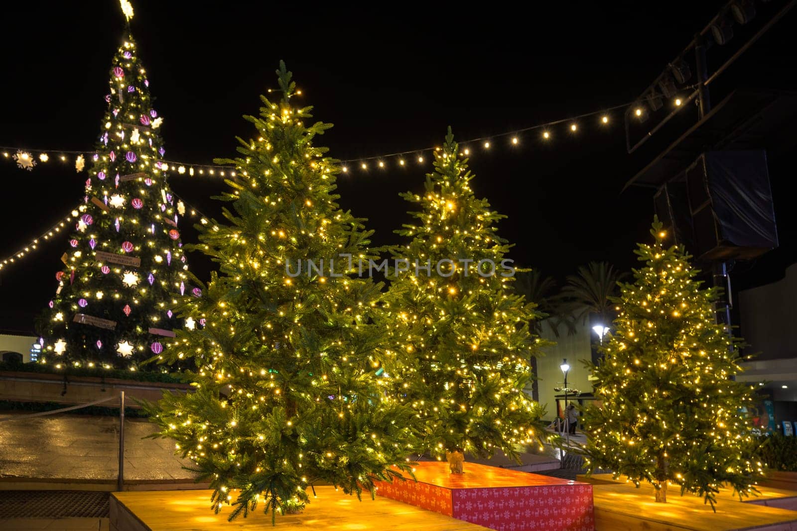 The territory near the house is decorated for Christmas. Live Christmas tree: spruce, pine, spruce in pots.