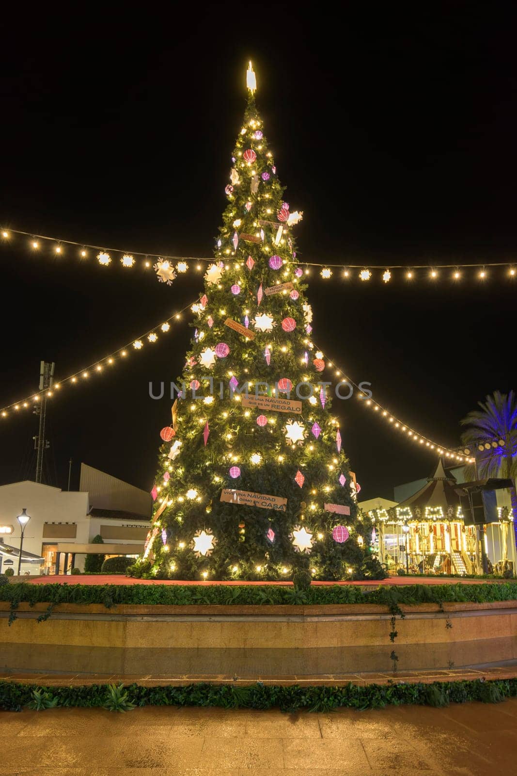 Beautiful christmas tree in a town square at night.