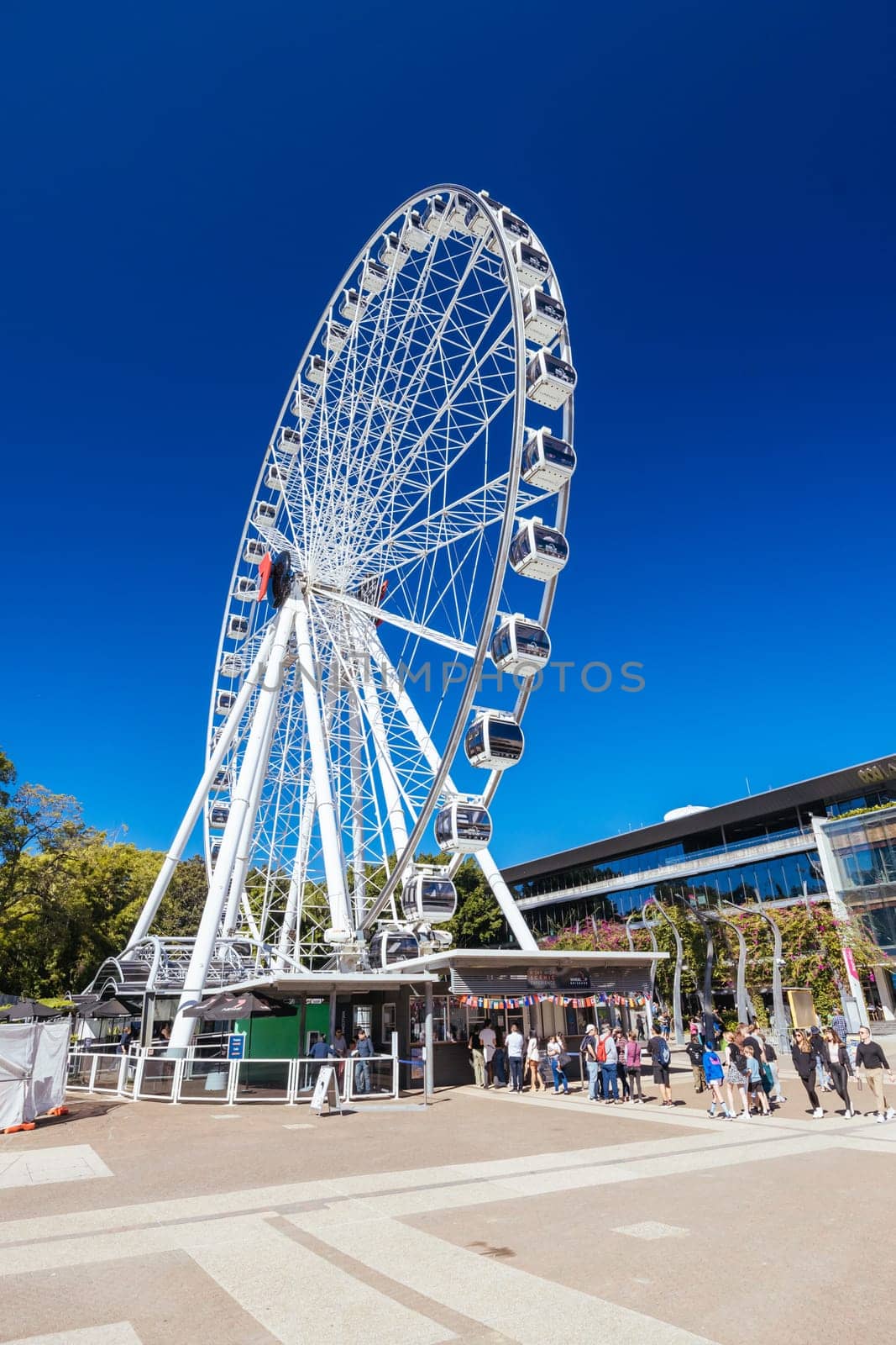 BRISBANE, AUSTRALIA - JULY 29 2023: The popular tourist attraction of the Wheel of Brisbane along Southbank in Brisbane, Queensland, Australia