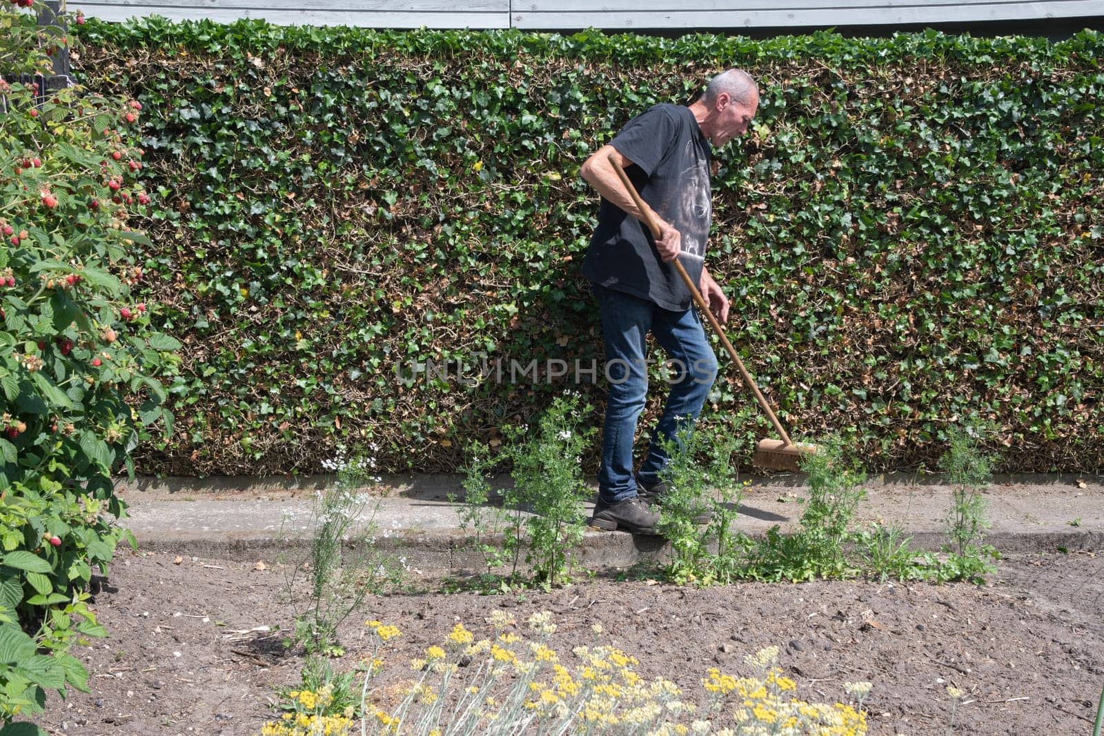 Gardener sweeps clear paths in the garden, Working man takes care of vegetable garden with lawn mower, lawn care services, High quality photo