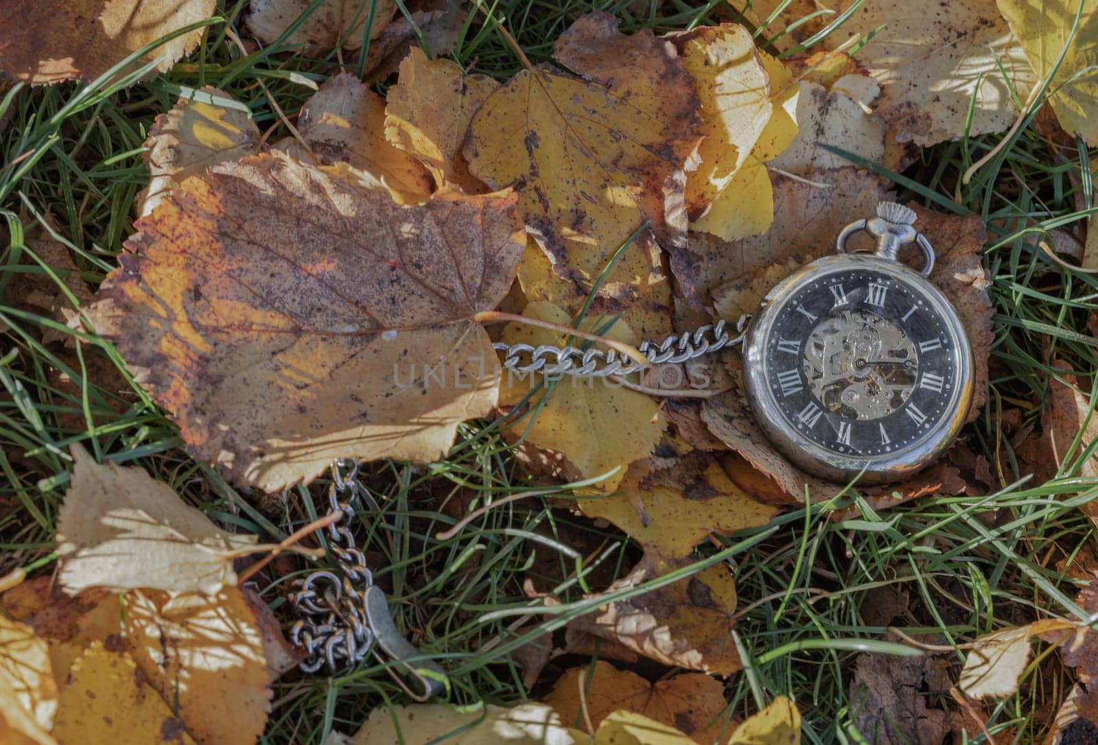 Vintage pocket watch lies on dry yellow leaf and green grass background in autumn fall on ground with sun light. Past time concept, Space for text, Selective focus.