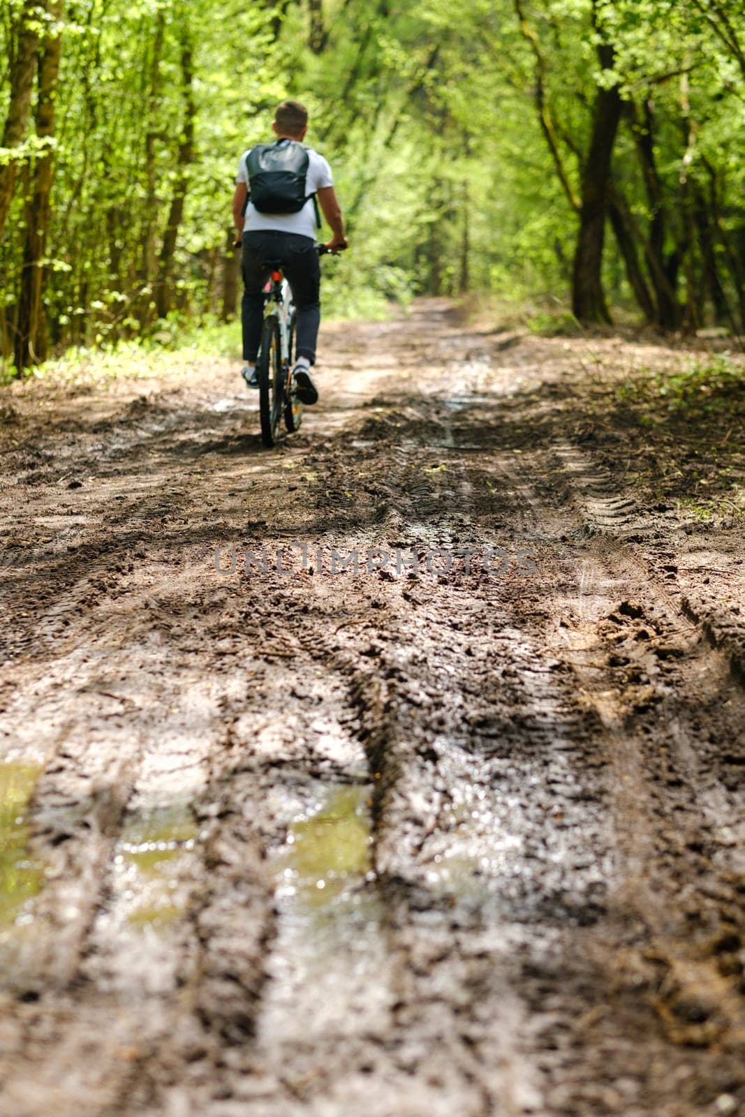 A group of cyclists with backpacks ride bicycles on a forest road enjoying nature.