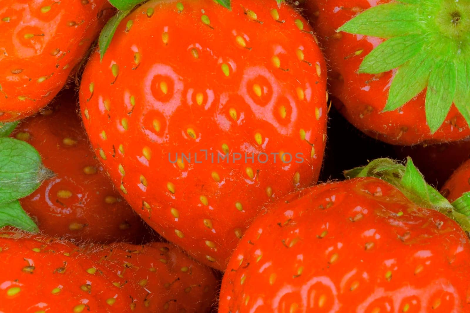 Color macro shot of strawberries. Snapshot of strawberries suitable as a concept for summer, summer refreshment, evening garden party. Concept for restaurants, ice cream shops and fruit bars by roman_nerud
